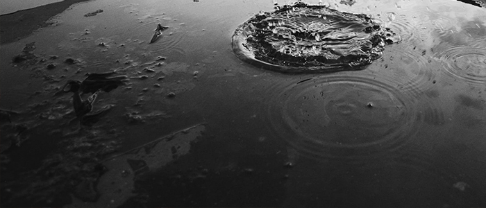 Osuszanie budynk&oacute;w w Krakowie DDD Czystość